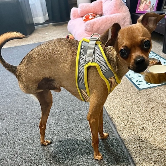 Other - Meet Your Posher